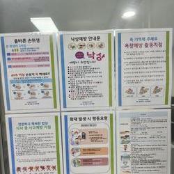 병원 안전 체계